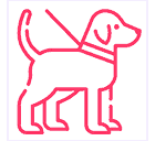 hond